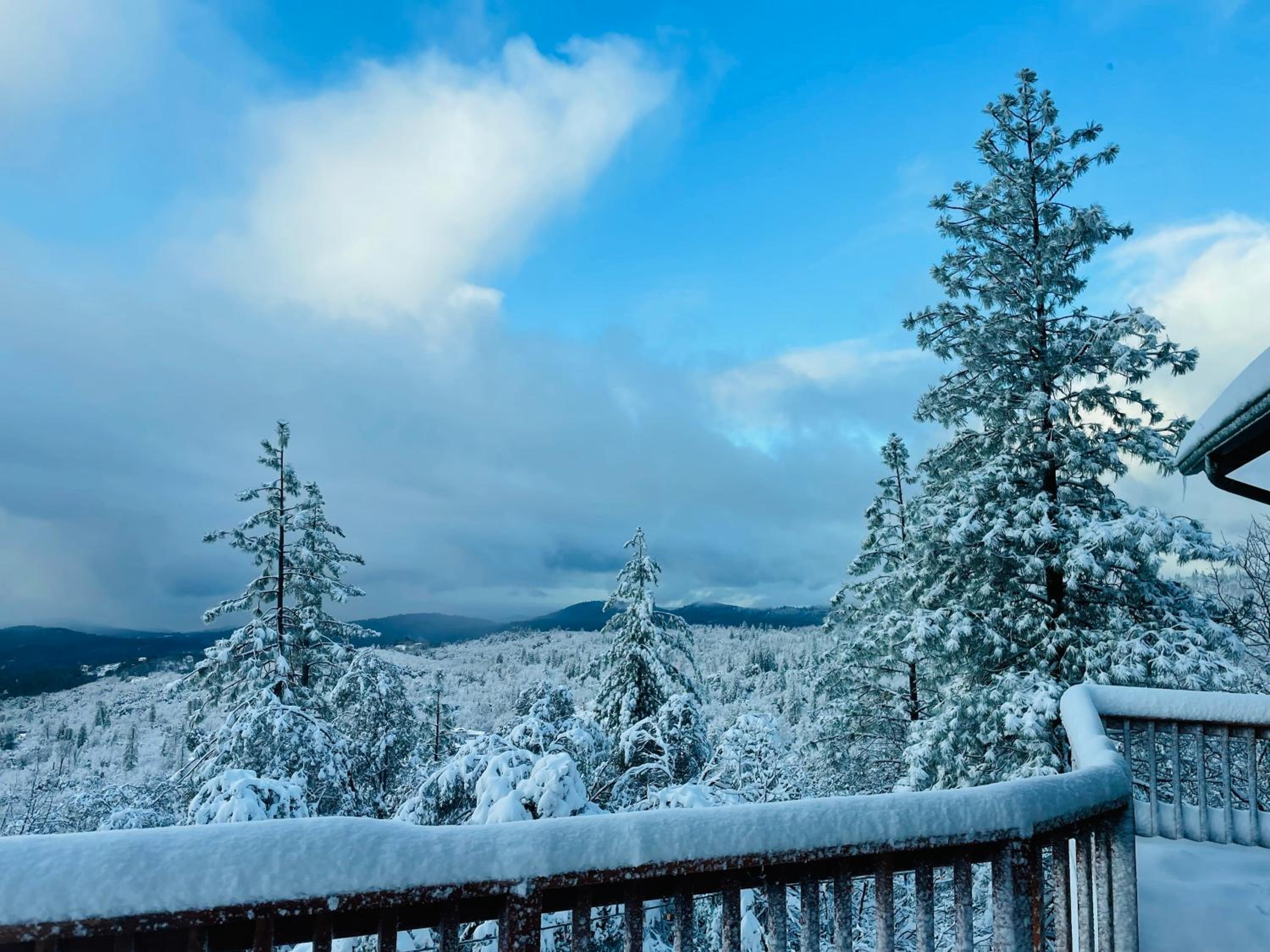 Stunning Log Cabin with Great Views, Firepit, Deck near Twain Hart