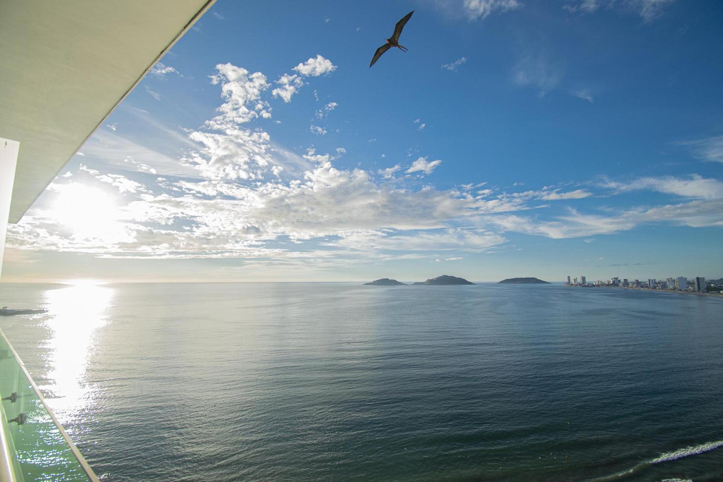 Torre Eme Oceanfront Condo 1502 With Pool view 5