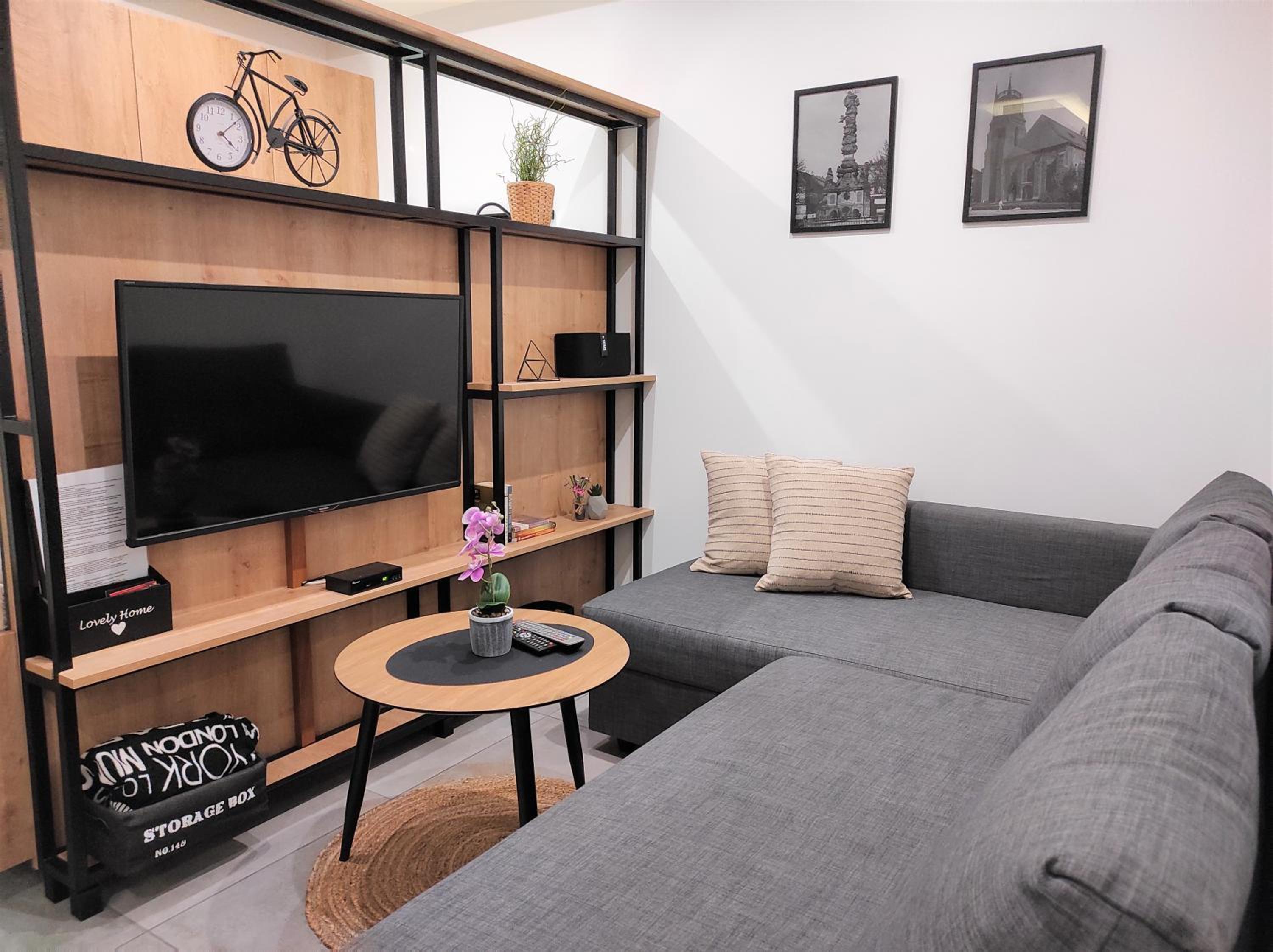 Apartamenty Mariańska 103 view 5