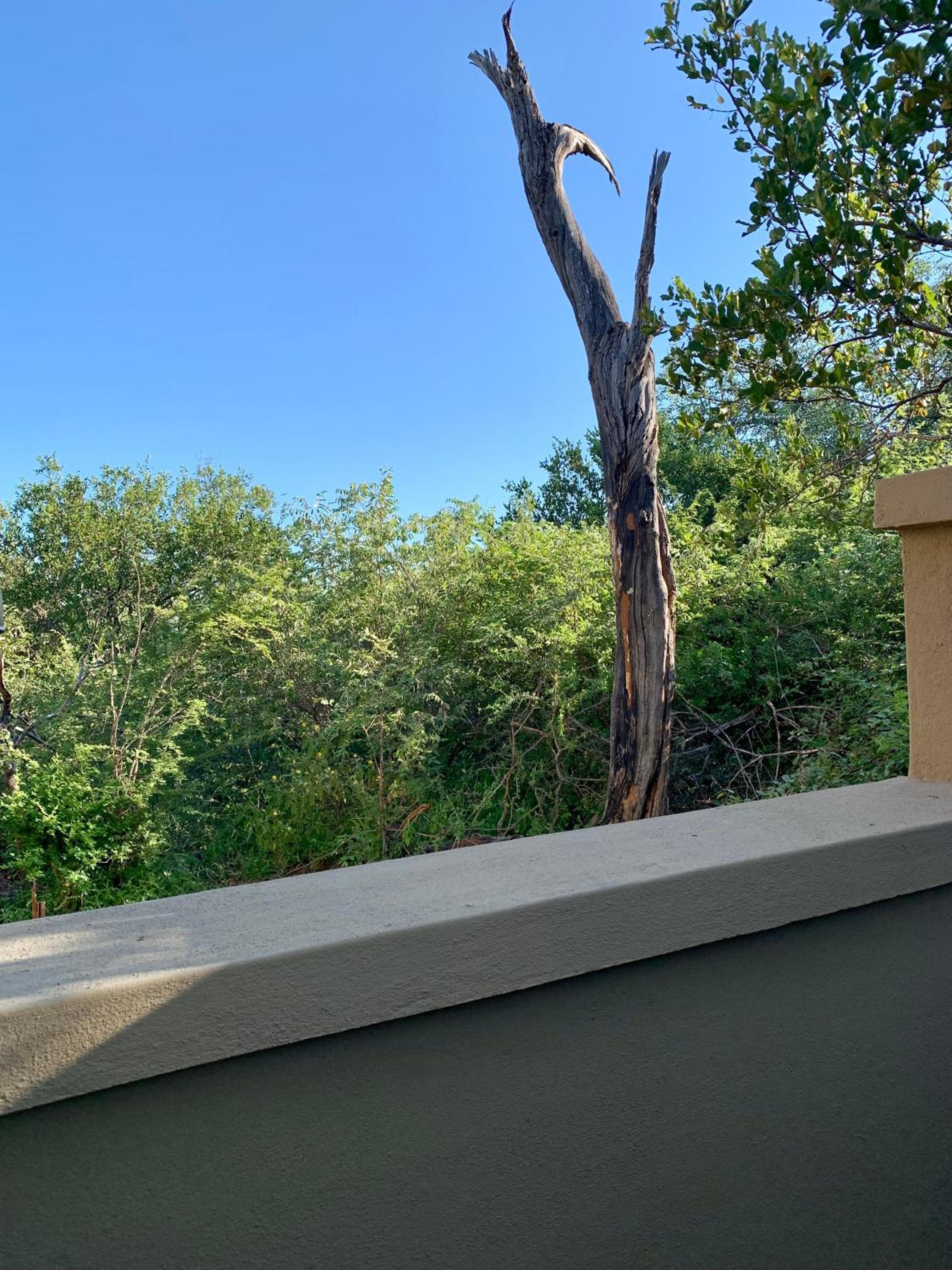 Rooibos Luxury Bush Cottage