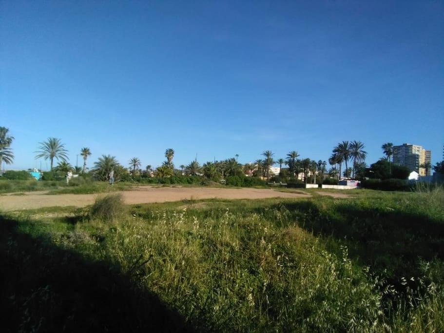 Photo 21