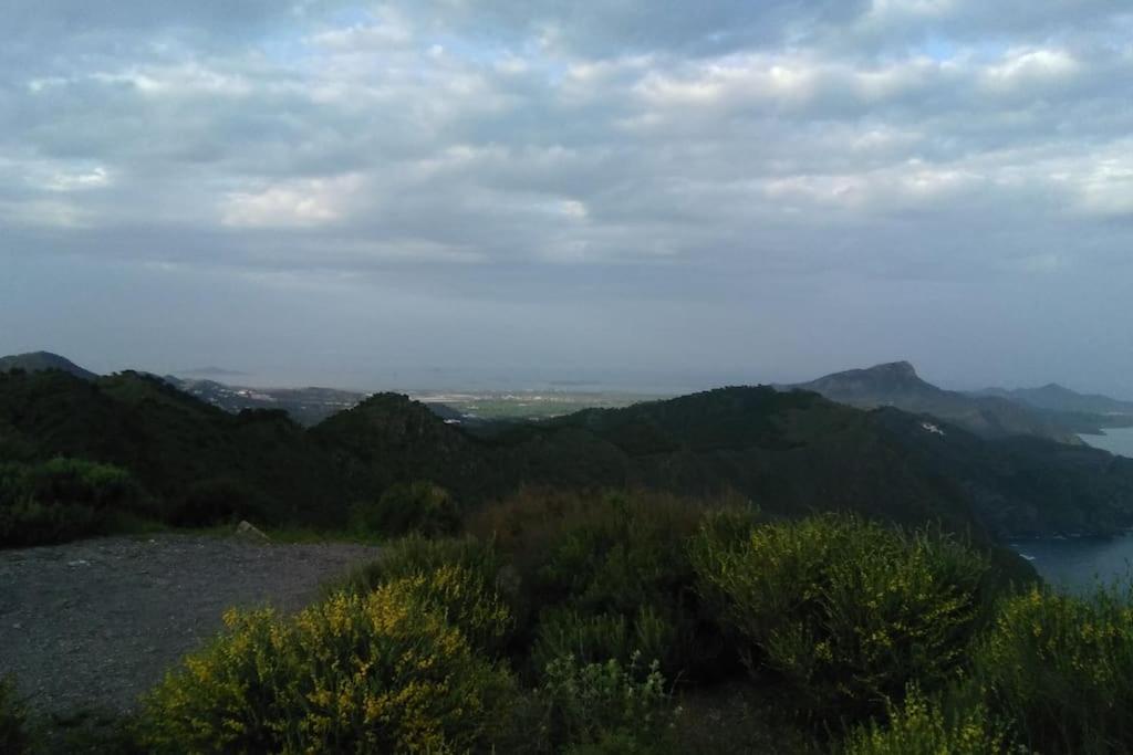 Photo 39