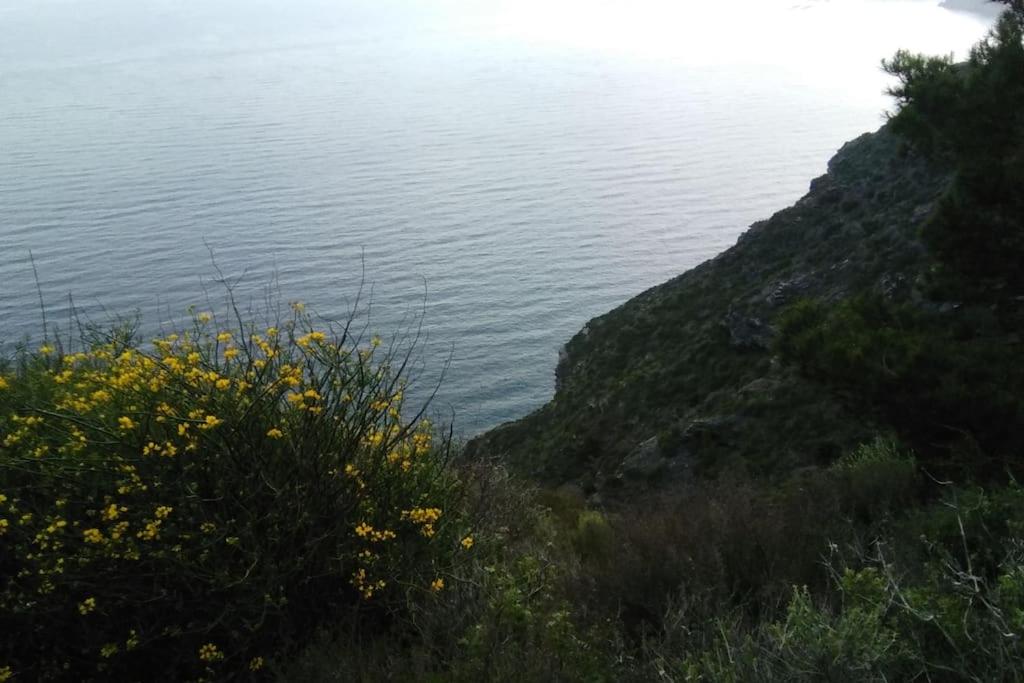 Photo 42