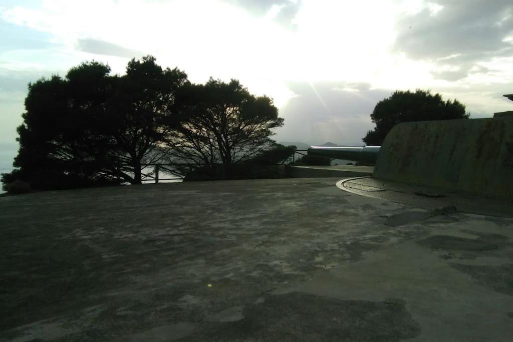 Photo 43