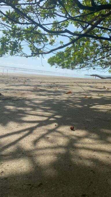Al's Beach Casa