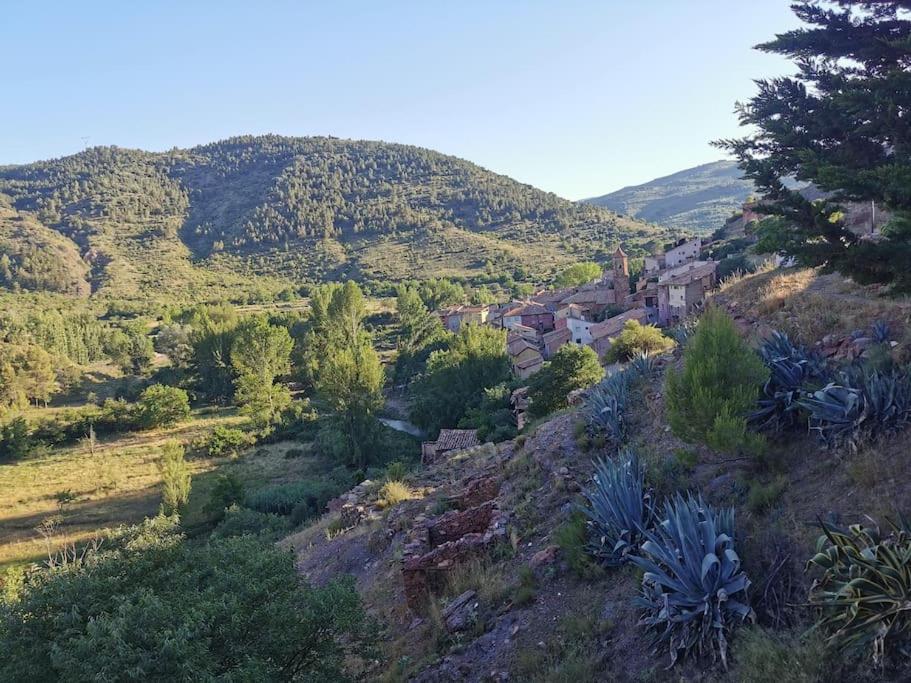 Casa Roya