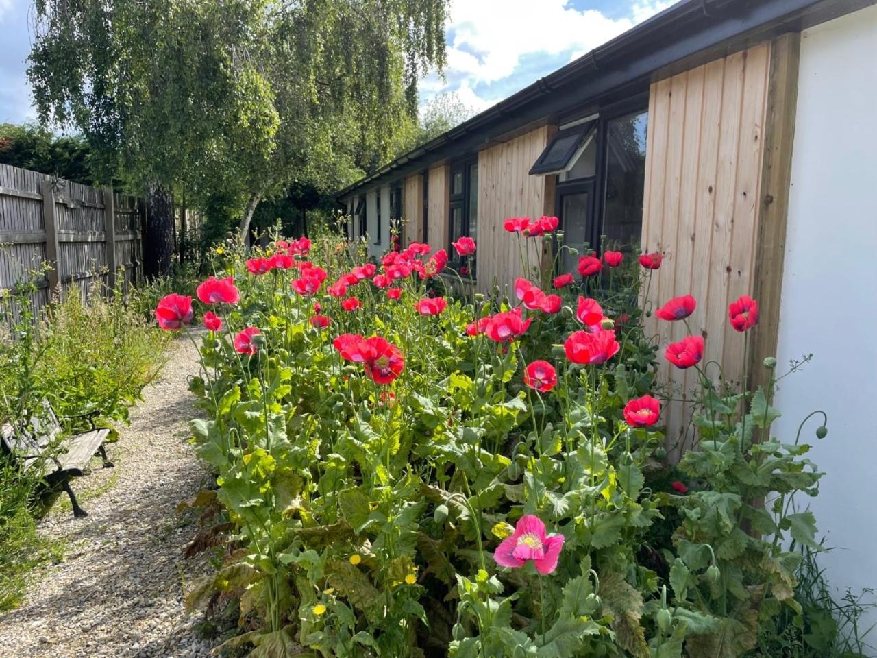 The Bearded Goat Den - A rural retreat at this modern holiday cottage, photo 24