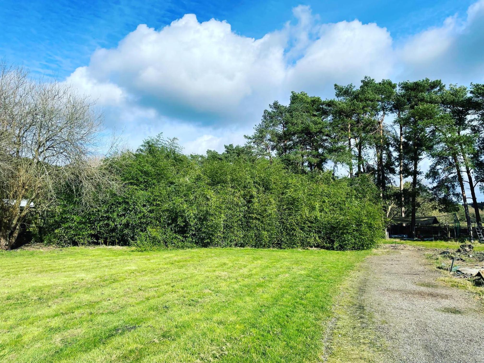 The Bearded Goat Den - A rural retreat at this modern holiday cottage, photo 11