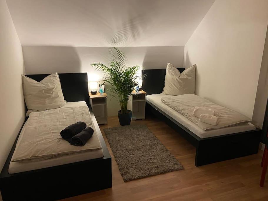 WORKATION Luxury Nature House , 10 min VW , Relax from Work mit Terrasse, Balkon und Parkplatz