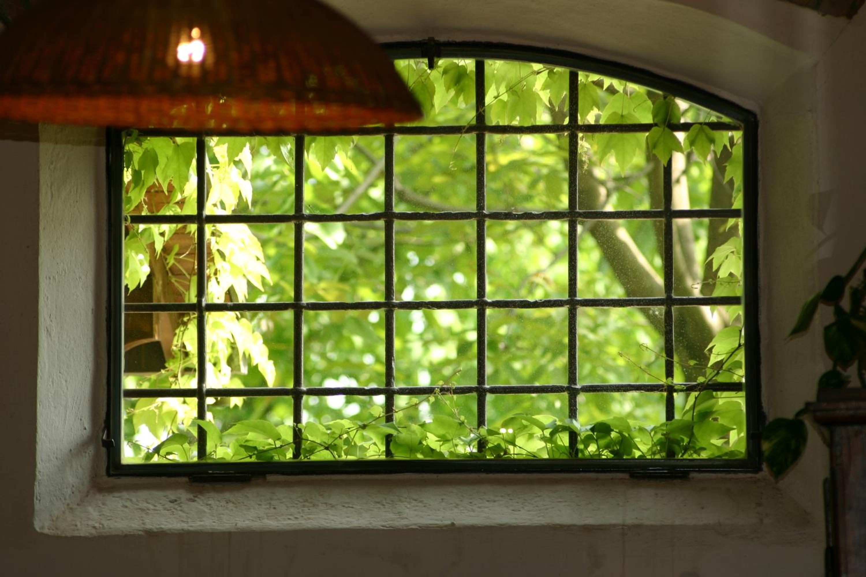 Agriturismo La Lupa