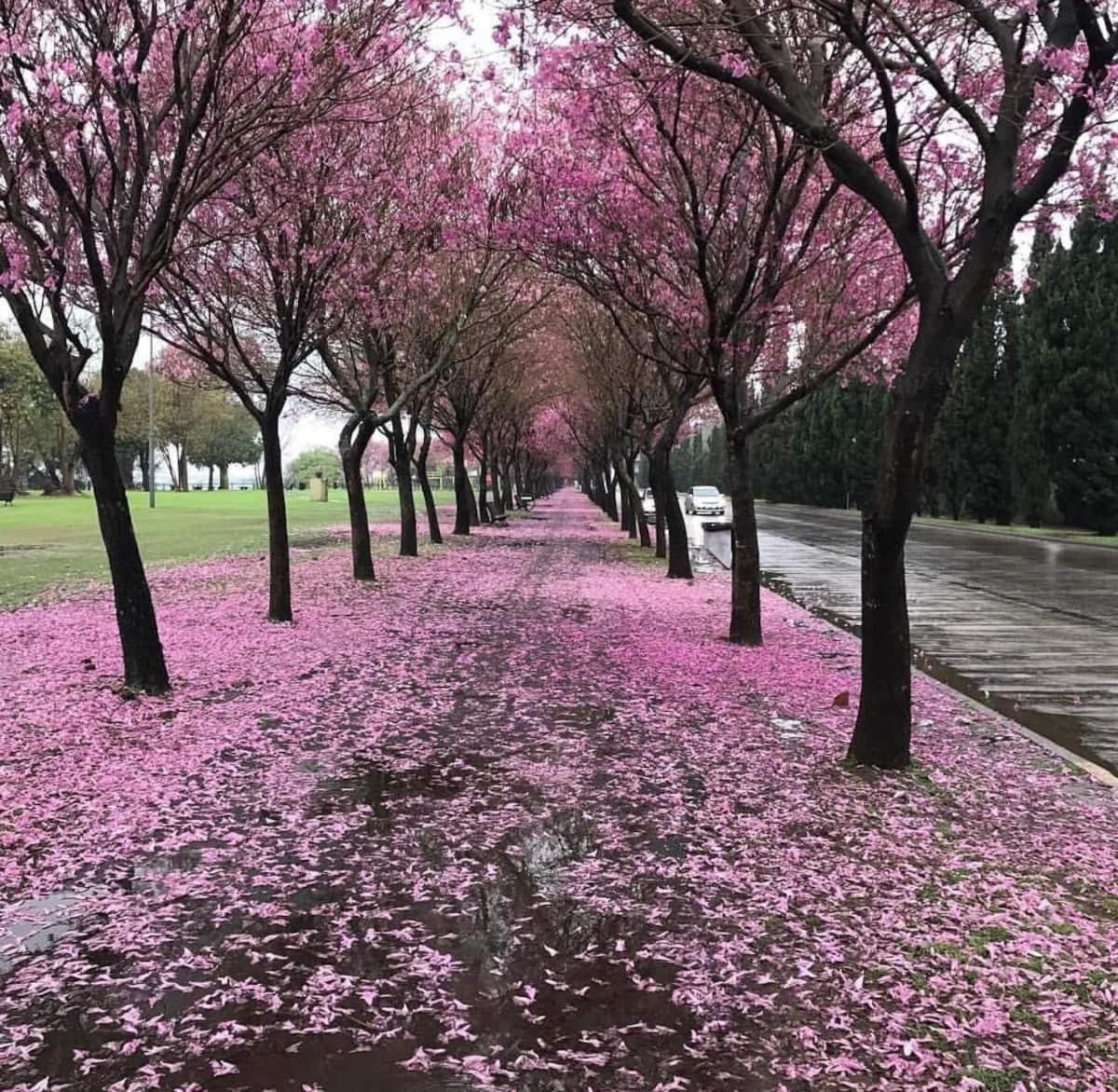 BELLISIMO, Amplio, a solo 100 metros del RIO, la zona VIP de Rosario!!!
