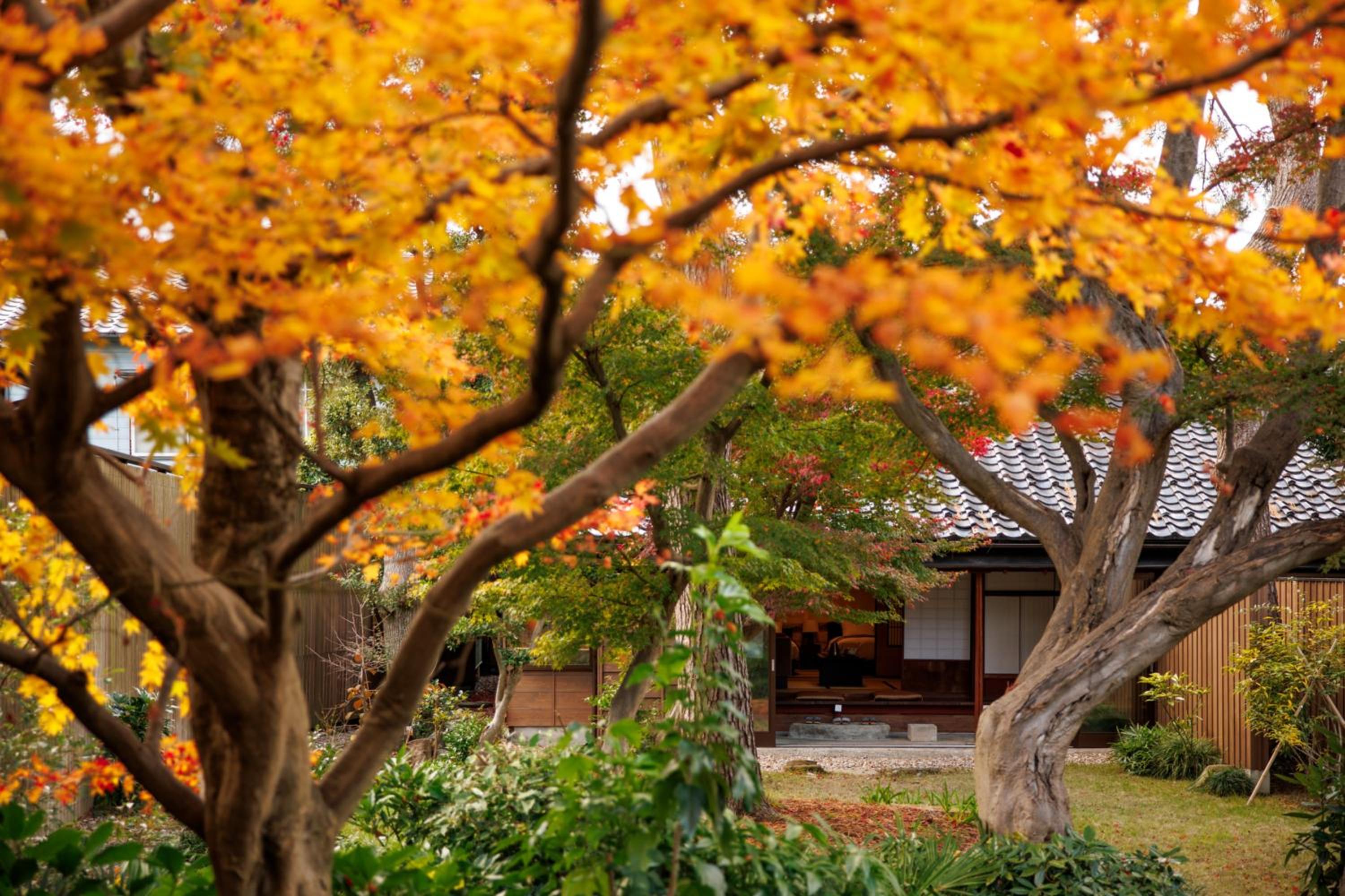 Machi no Odoriba view 3