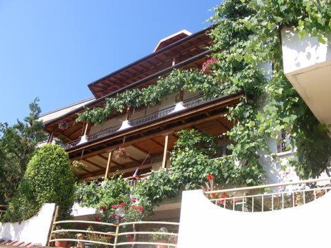 Tora Bora Guest House
