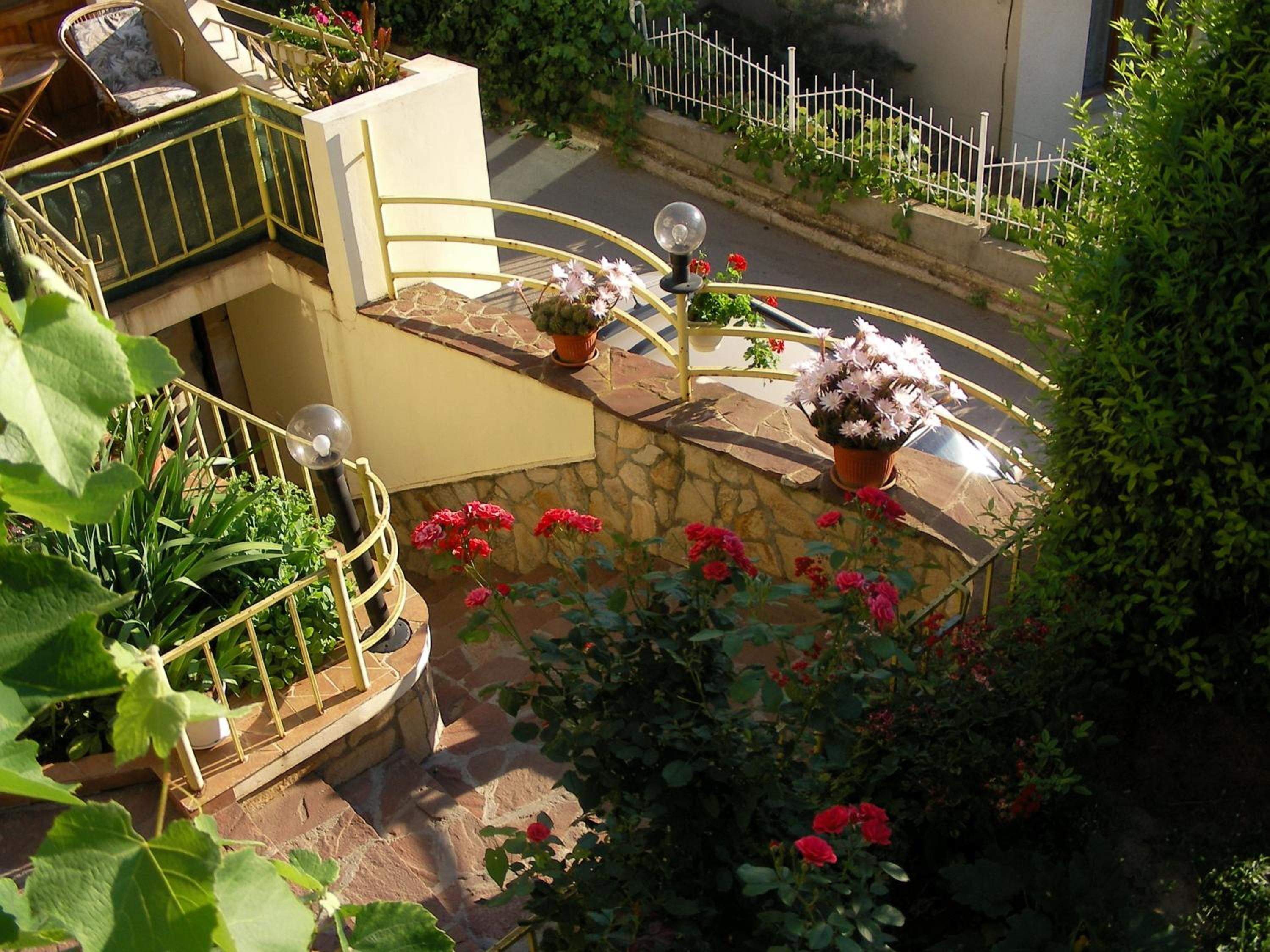 Tora Bora Guest House