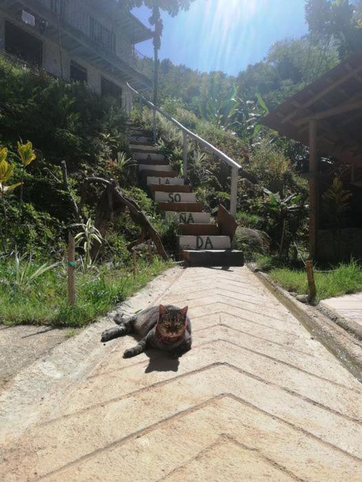 ecofinca la soñada
