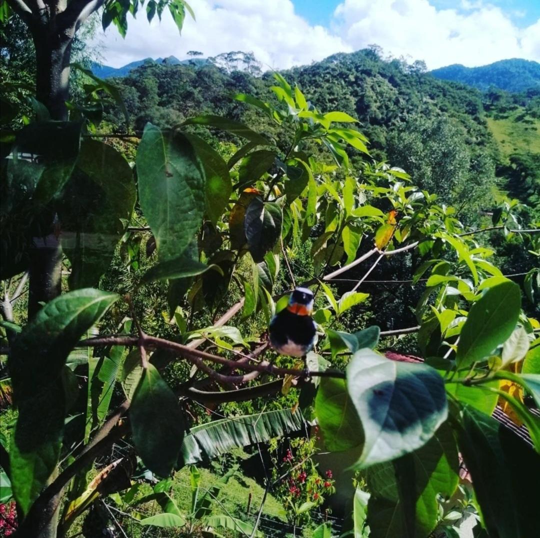 ecofinca la soñada