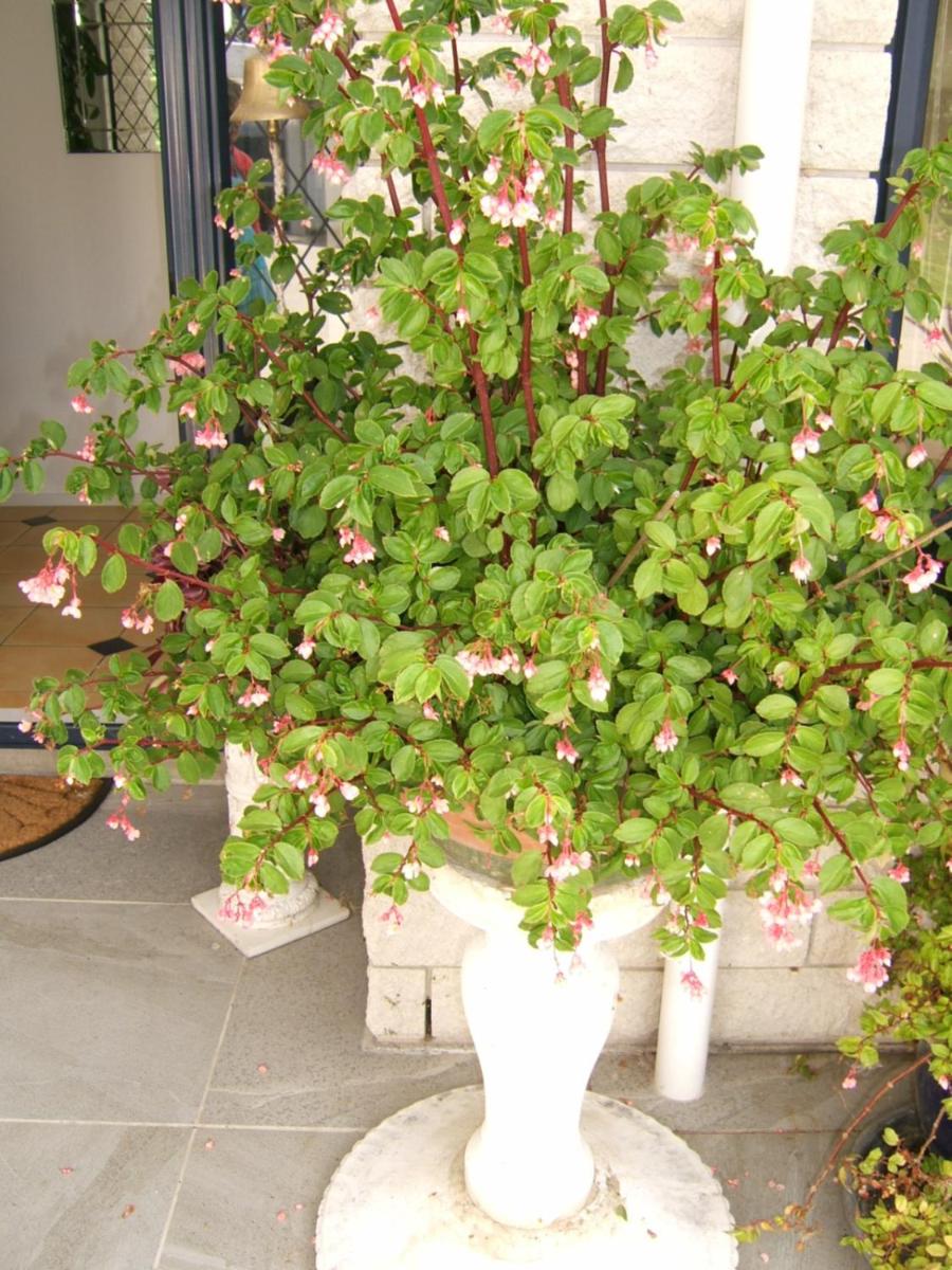 Photo 47