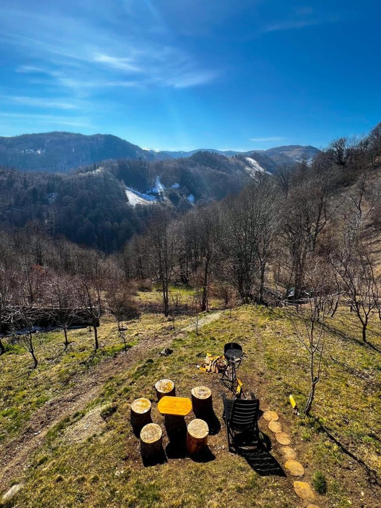 Cabana A-Frame Refugiu Montan view 5
