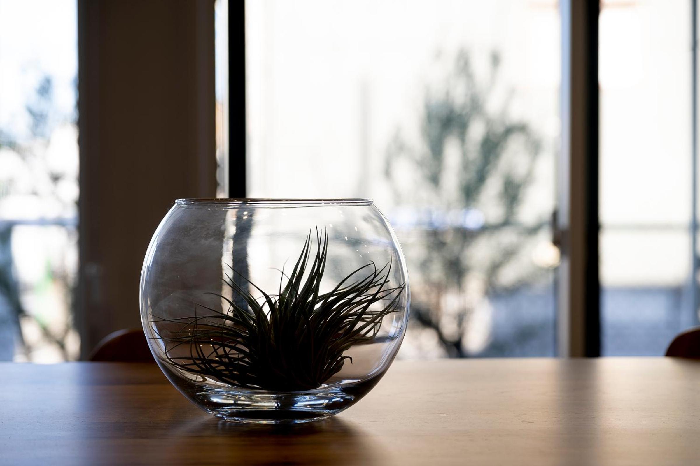 Photo 42