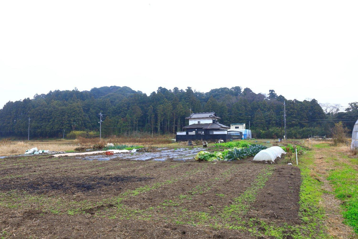 Katori Resonal Sawara