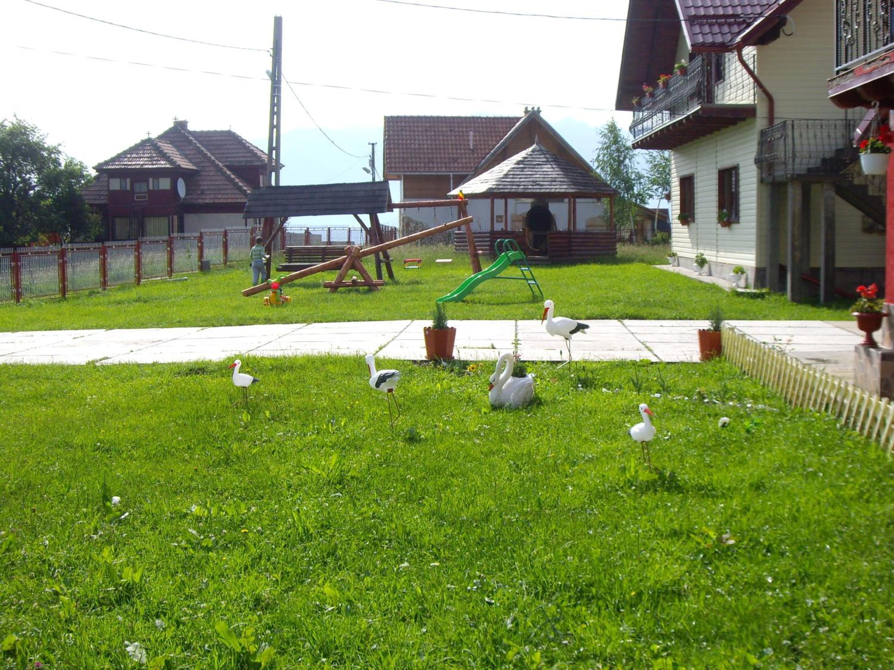 Photo 21