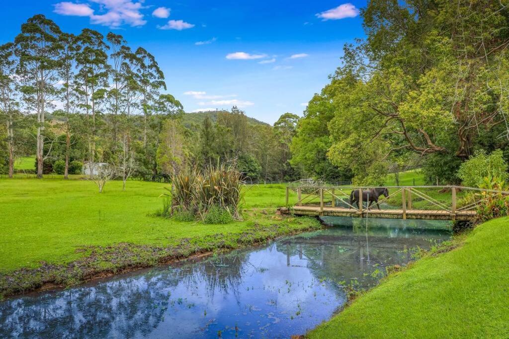 Family Acreage -Miniature Horses -Heated Pool w Slide