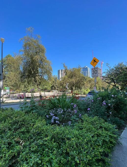 A Gentle Hideaway in the Urban Forest WEST END downtown Vancouver