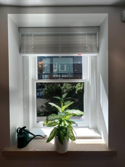 A Gentle Hideaway in the Urban Forest WEST END downtown Vancouver