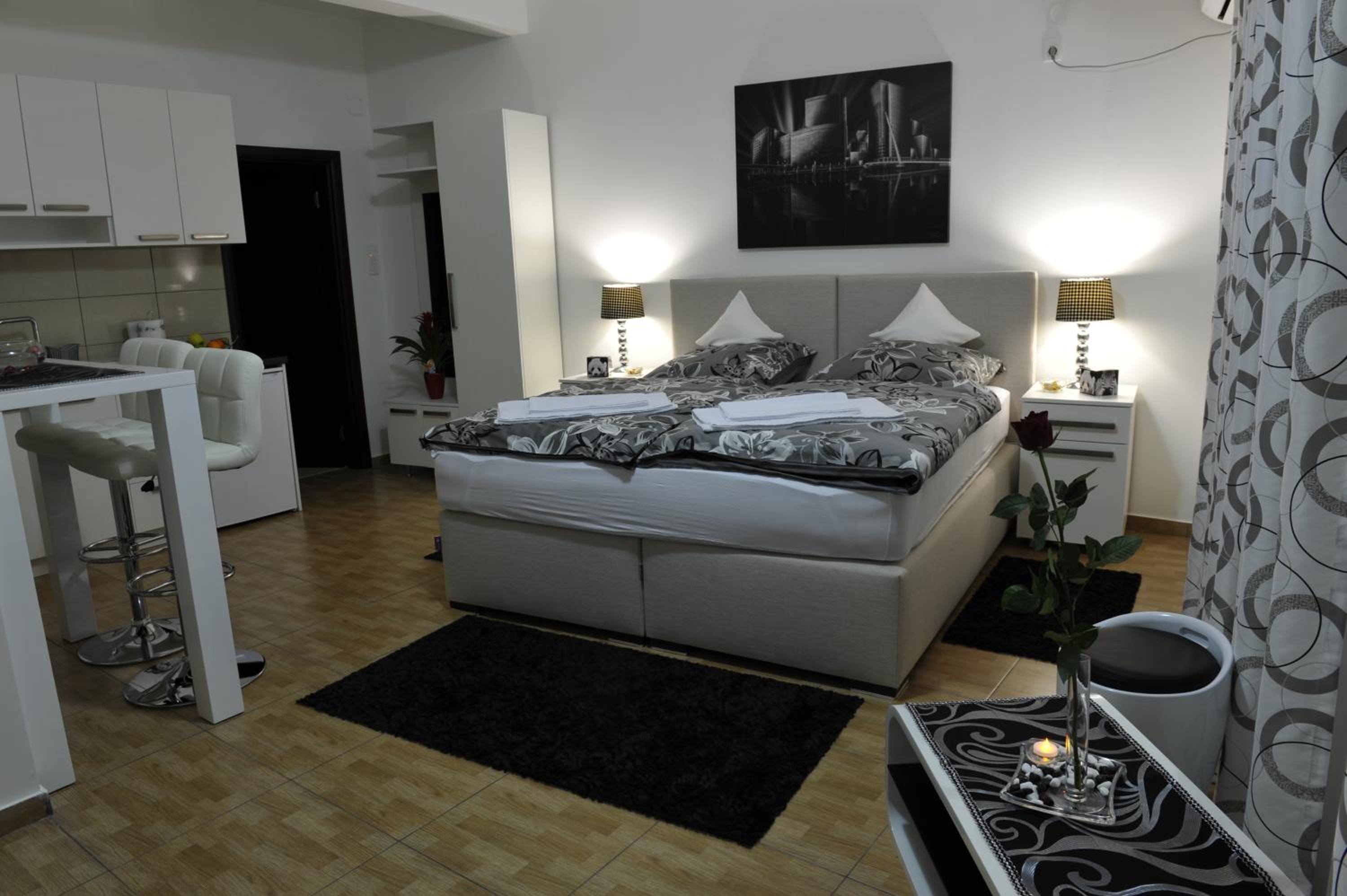Apartment Jovana Nikšić view 4