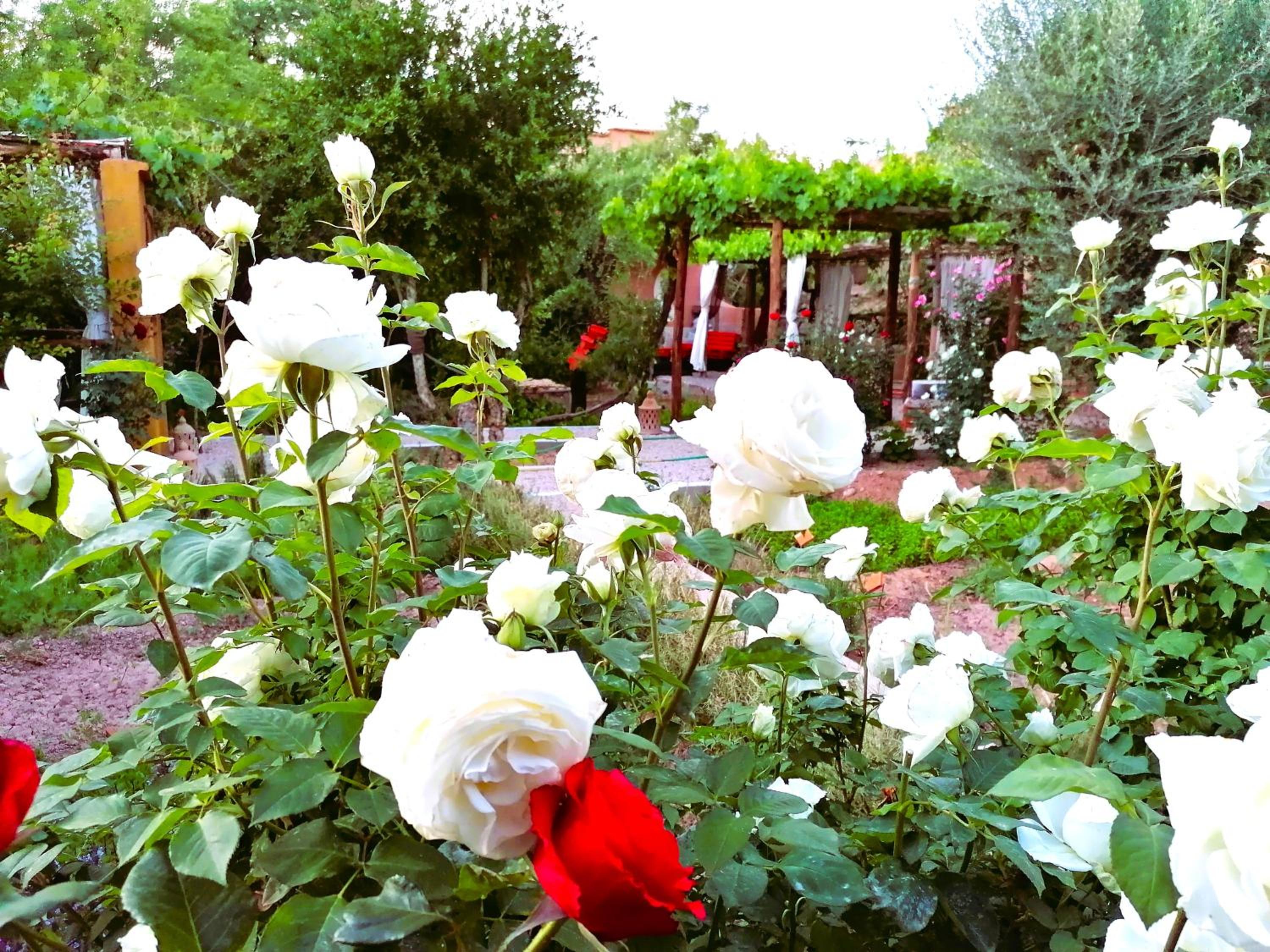 Photo 32