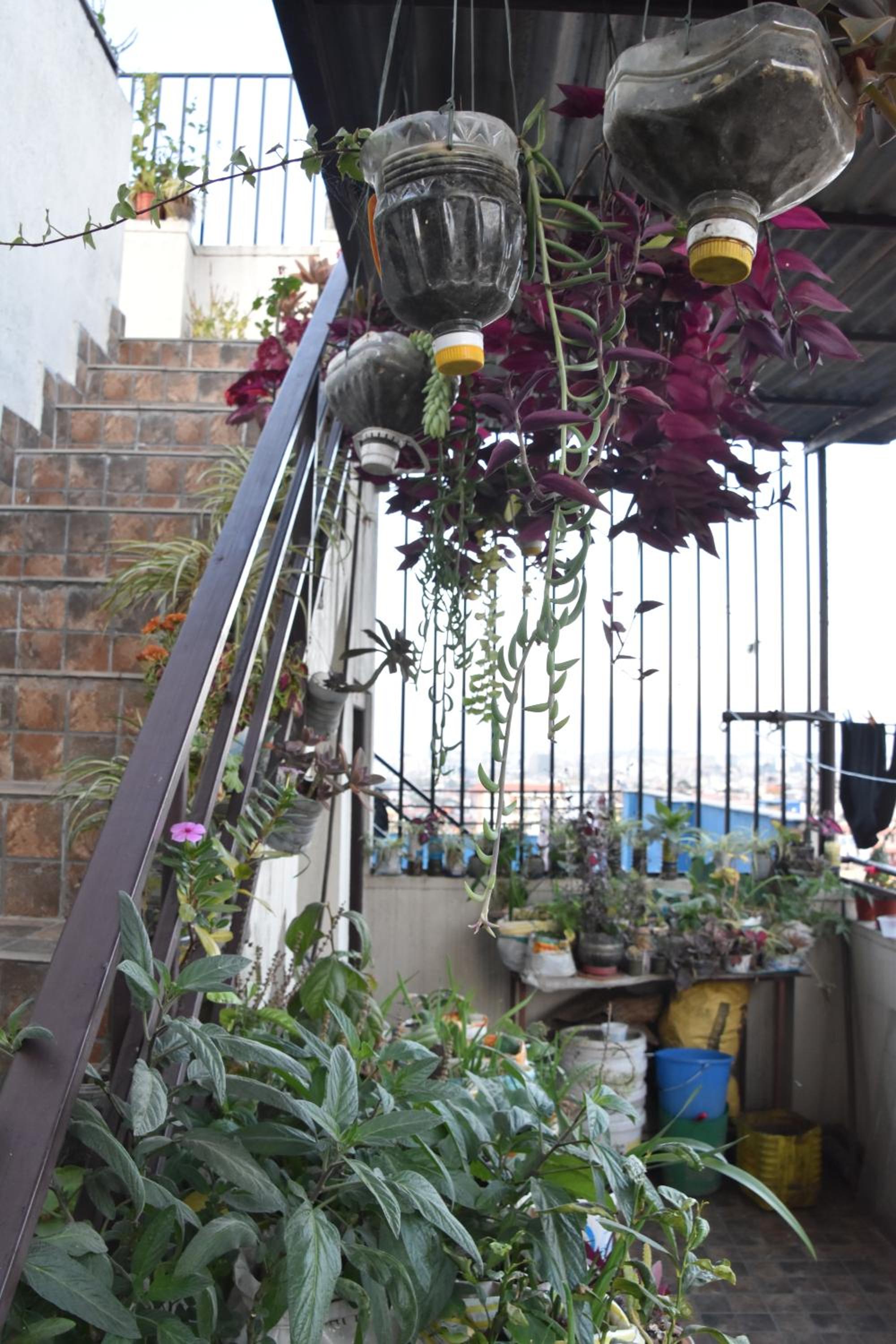 Tanani Newa Home Arnnapurna