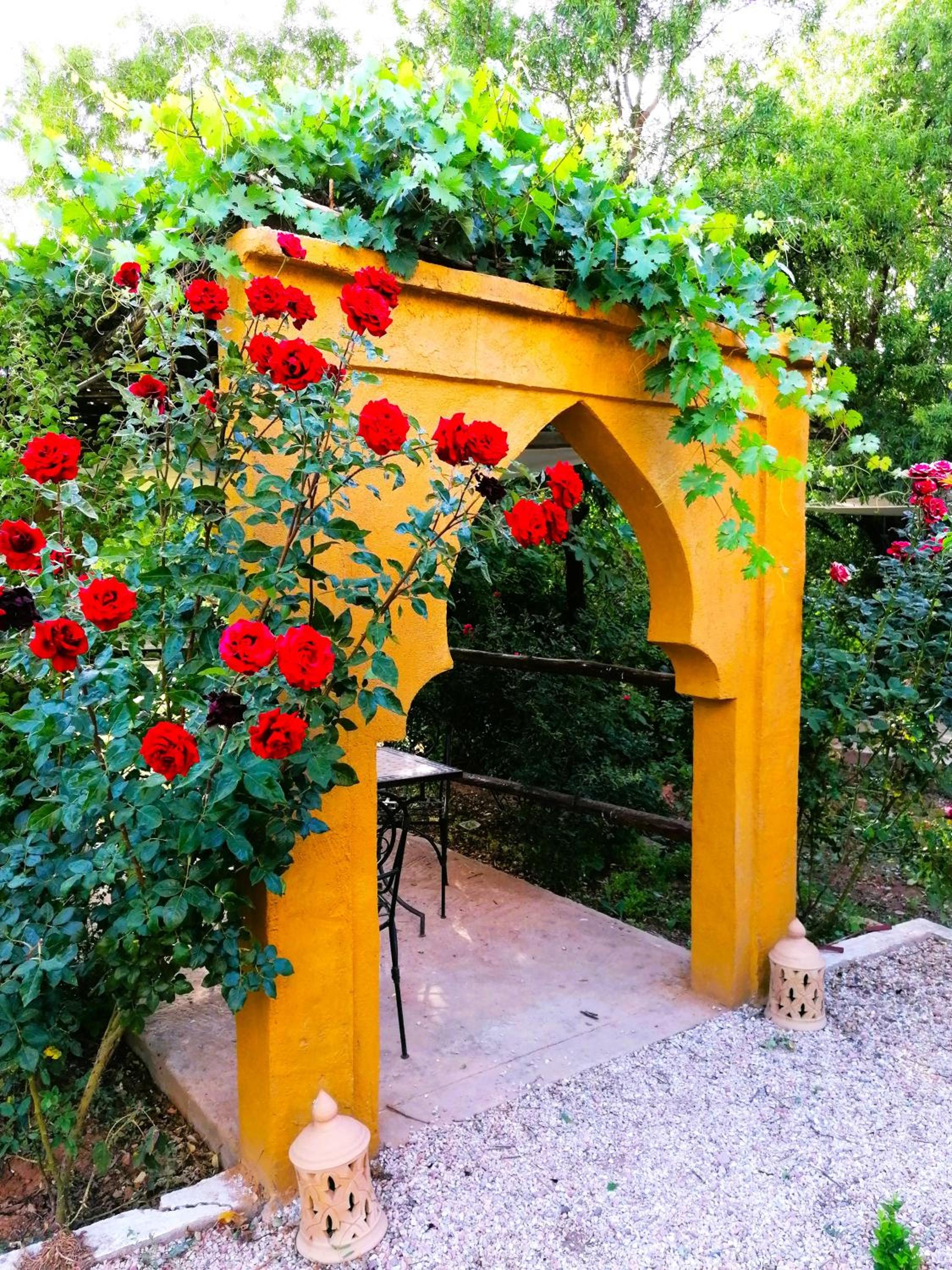 Photo 40