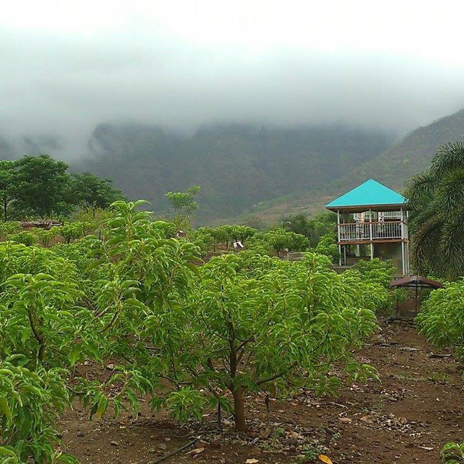The Riverstone Agro Farm view 5