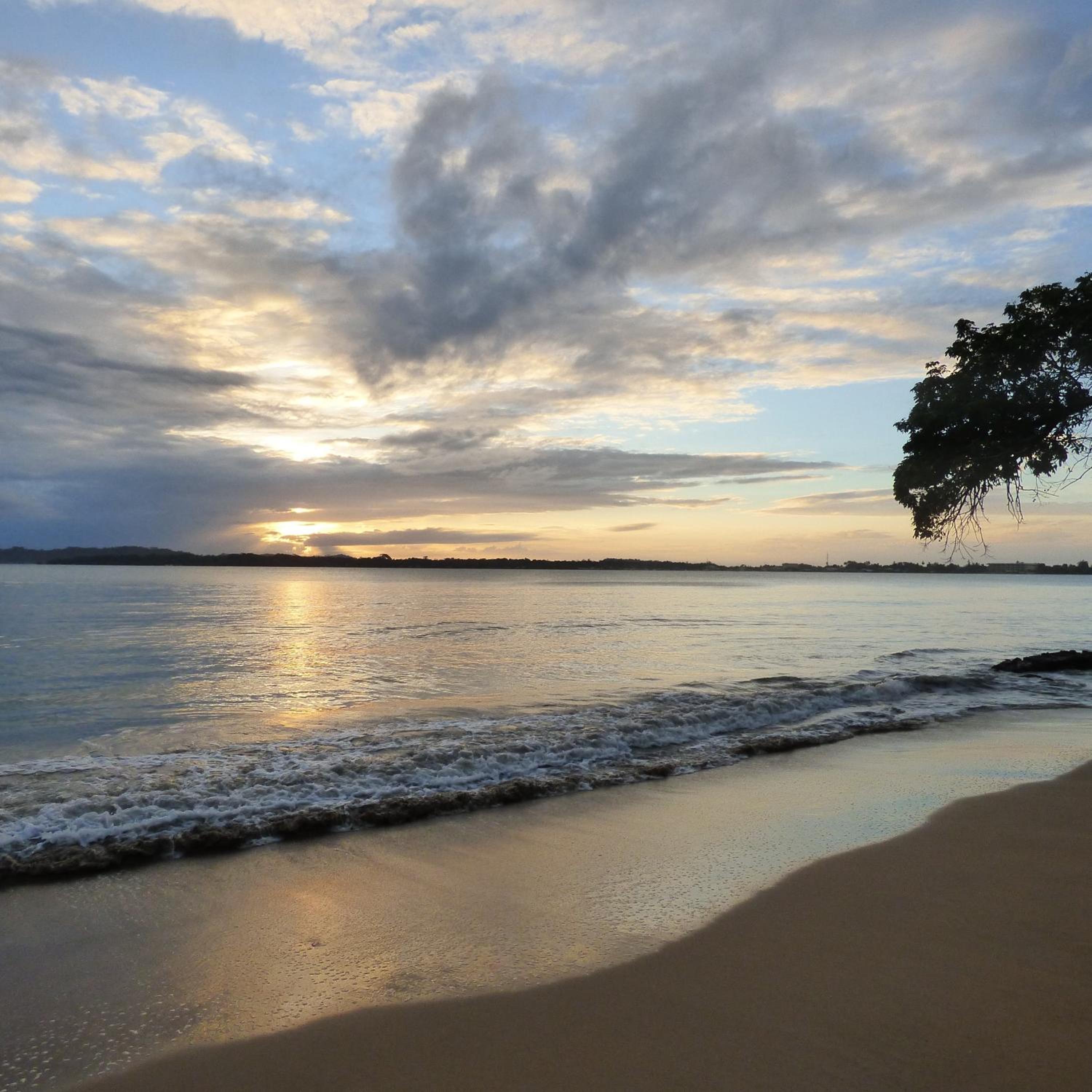 Sand Dollar Beach Bed & Breakfast