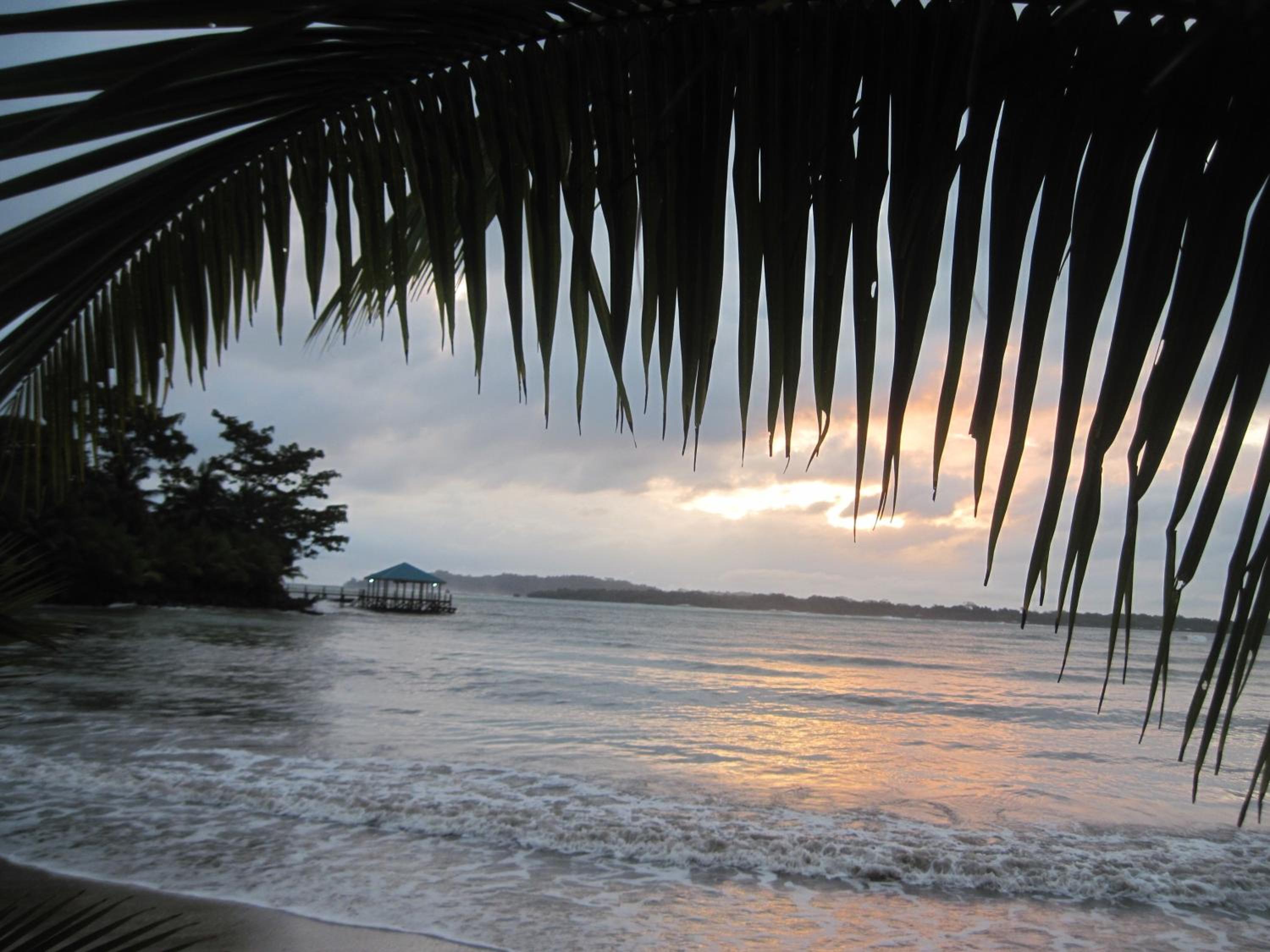 Sand Dollar Beach Bed & Breakfast