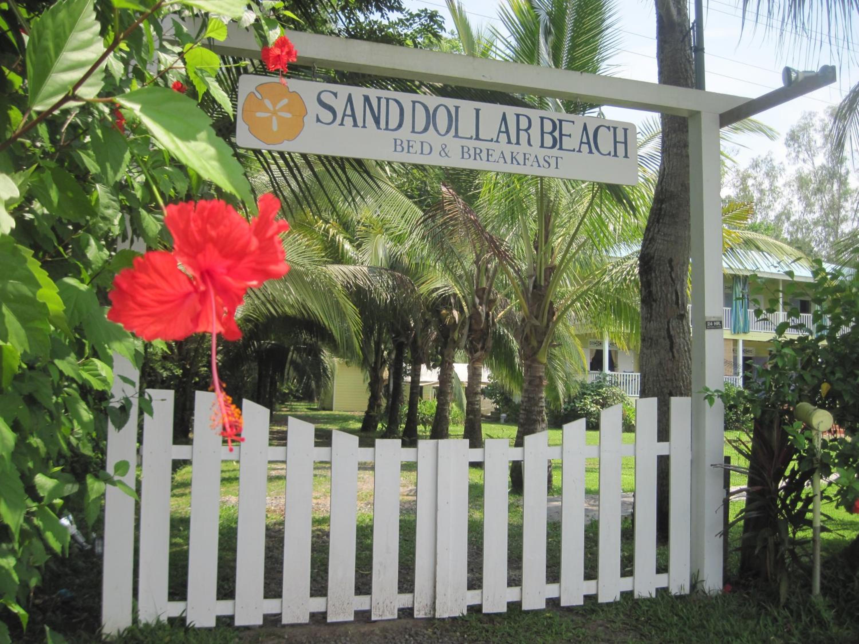 Sand Dollar Beach Bed & Breakfast