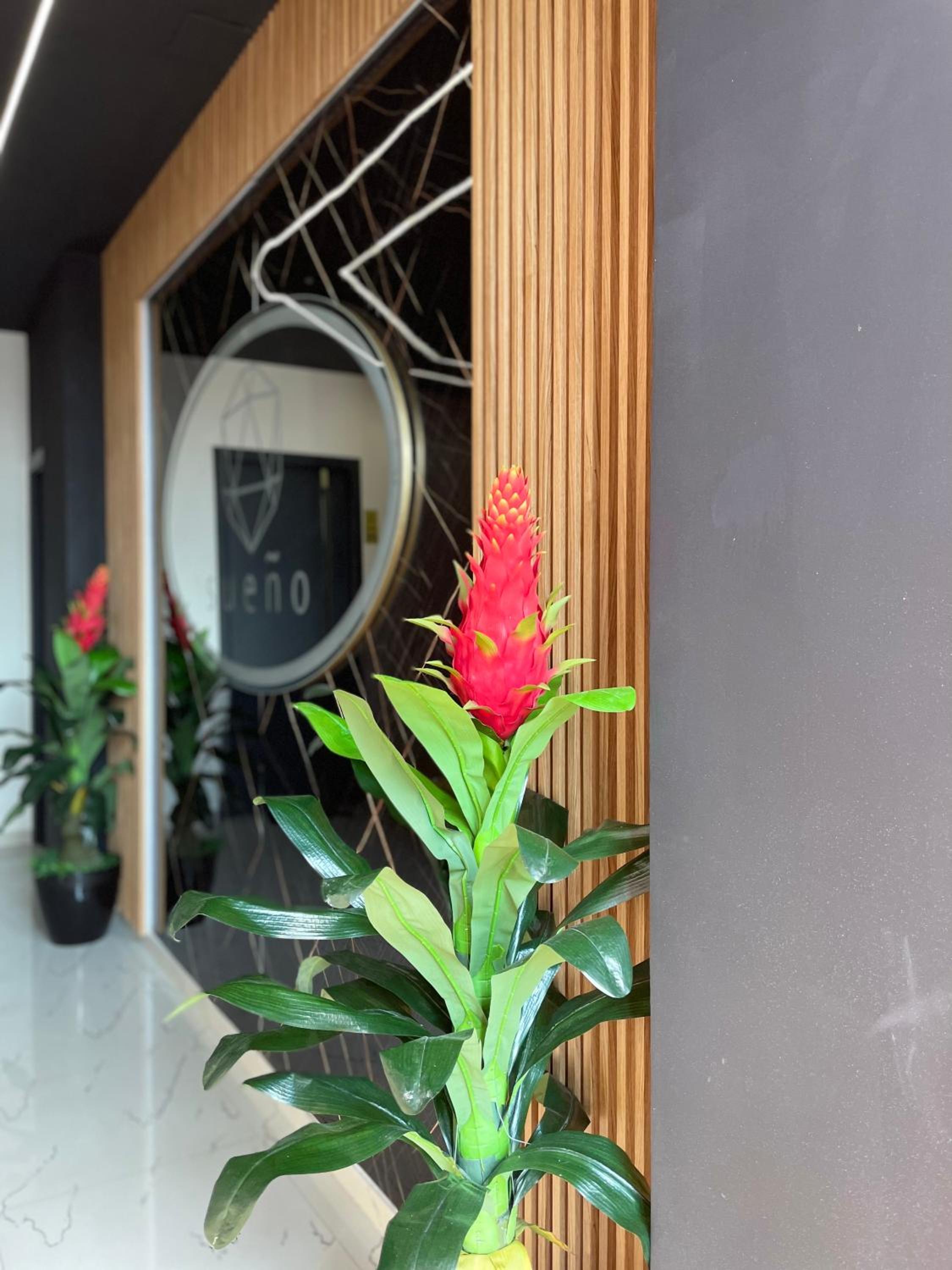 Sueño Apartments & Suites