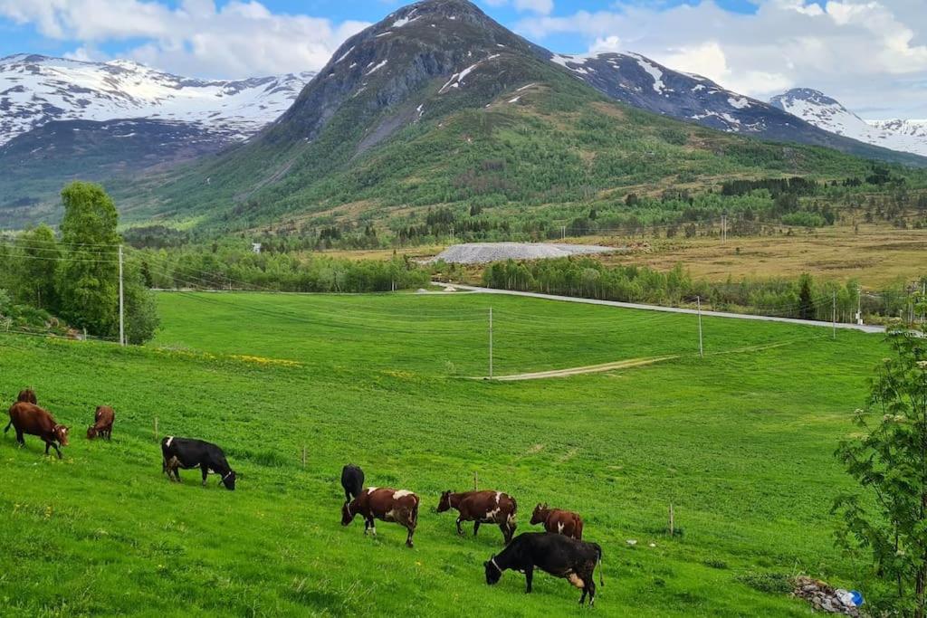 Holiday home among the pearls of Norway