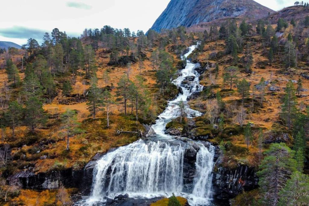 Holiday home among the pearls of Norway