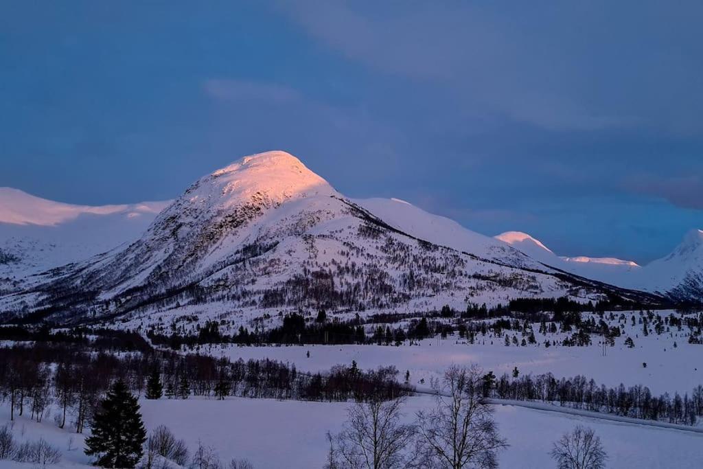Holiday home among the pearls of Norway