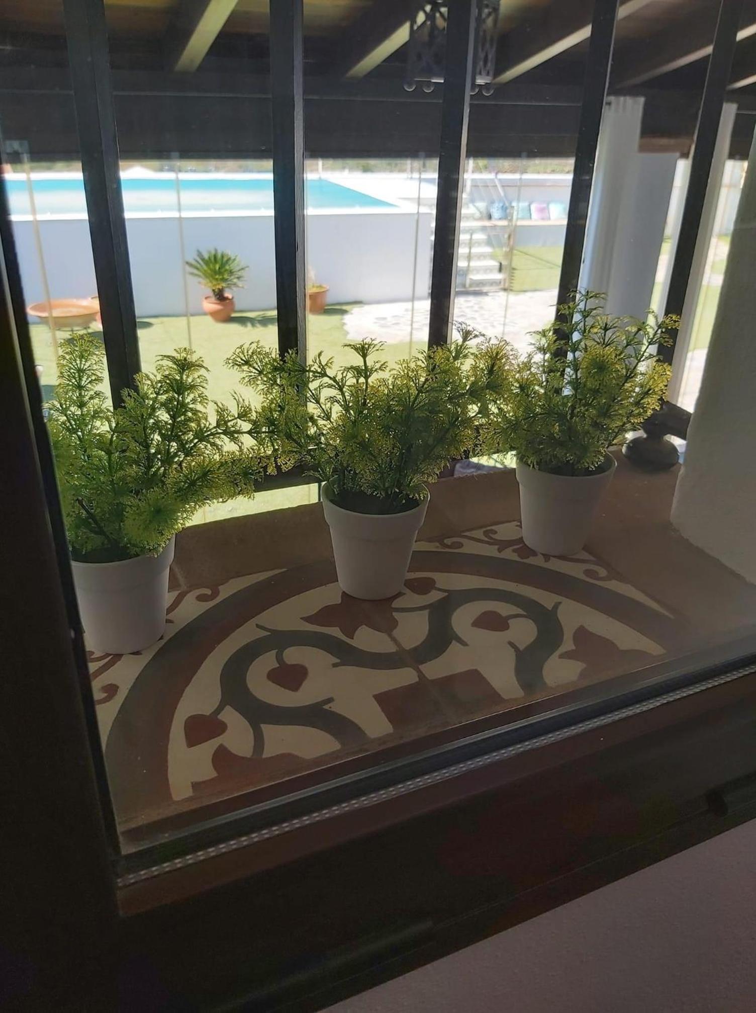 Vivienda rural La Monería