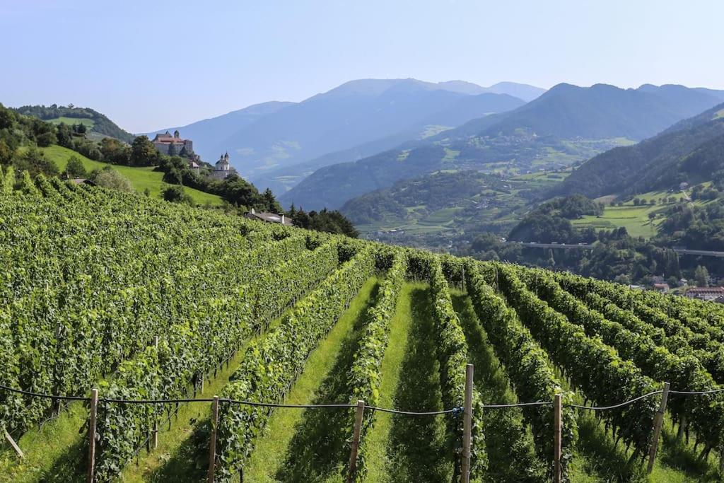 RÖCK Weingut - winery view 5
