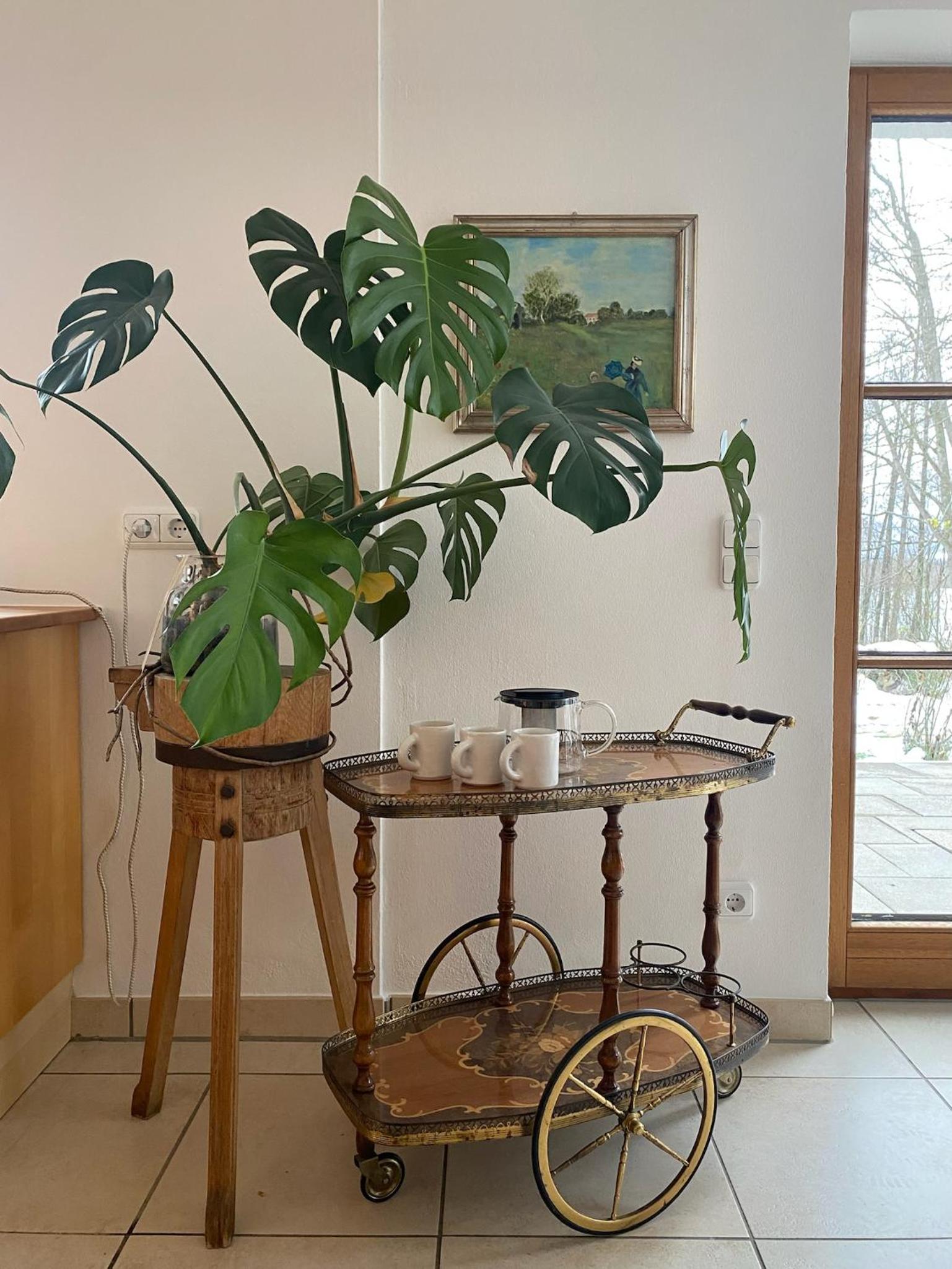 Studio Luise