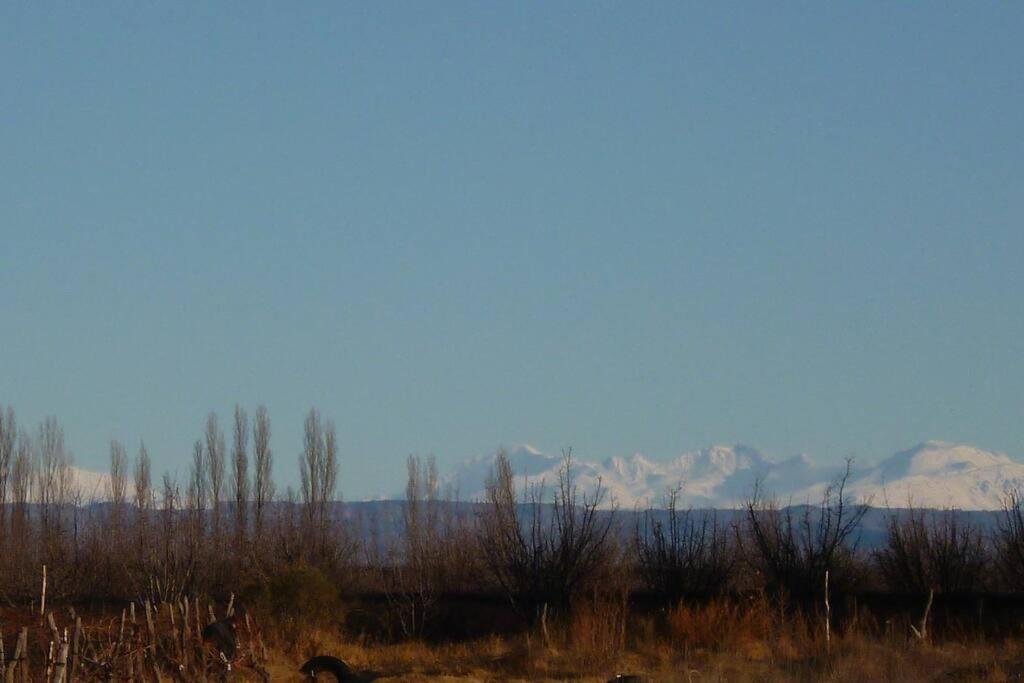Finca Los Racimos - Casa Bonarda
