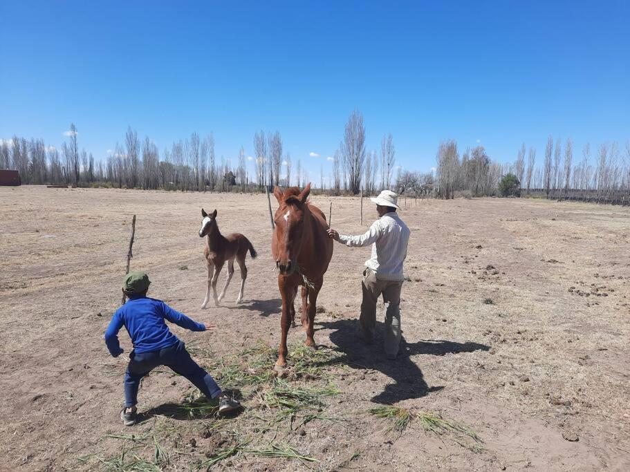 Finca Los Racimos - Casa Bonarda