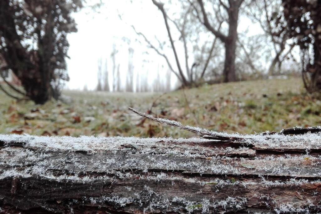 Finca Los Racimos - Casa Bonarda