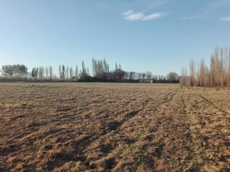 Finca Los Racimos - Casa Bonarda