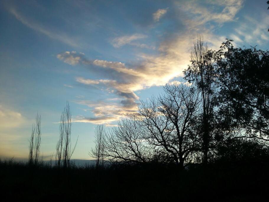 Finca Los Racimos - Casa Bonarda
