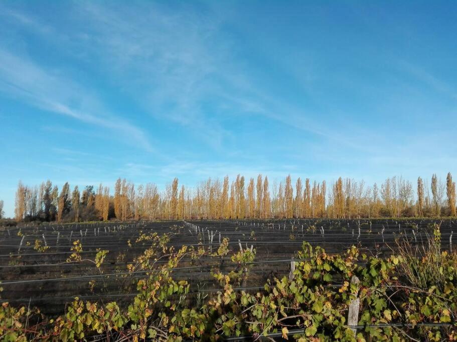 Finca Los Racimos - Casa Bonarda
