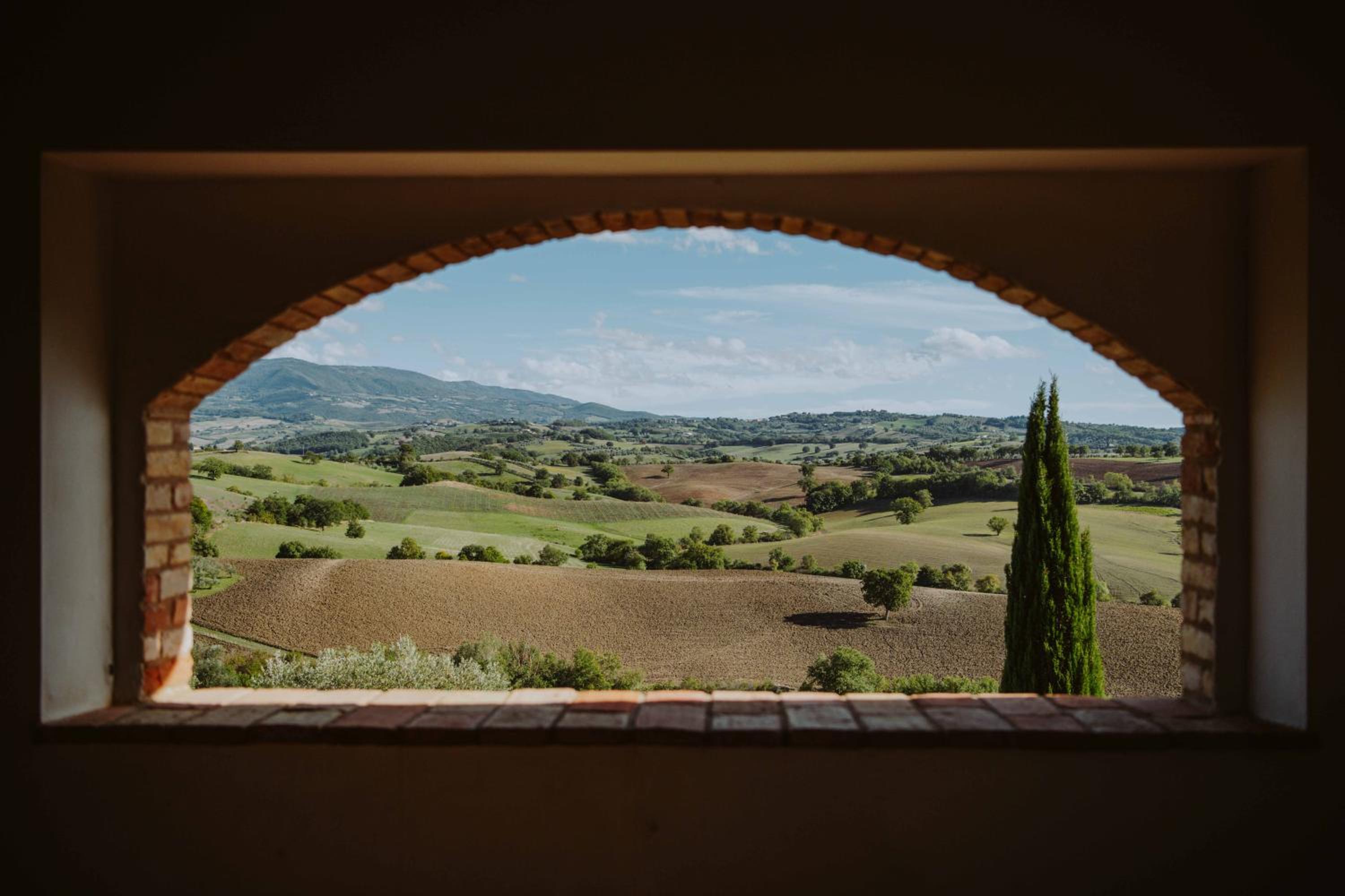 Tenuta Pianirossi, 写真 78